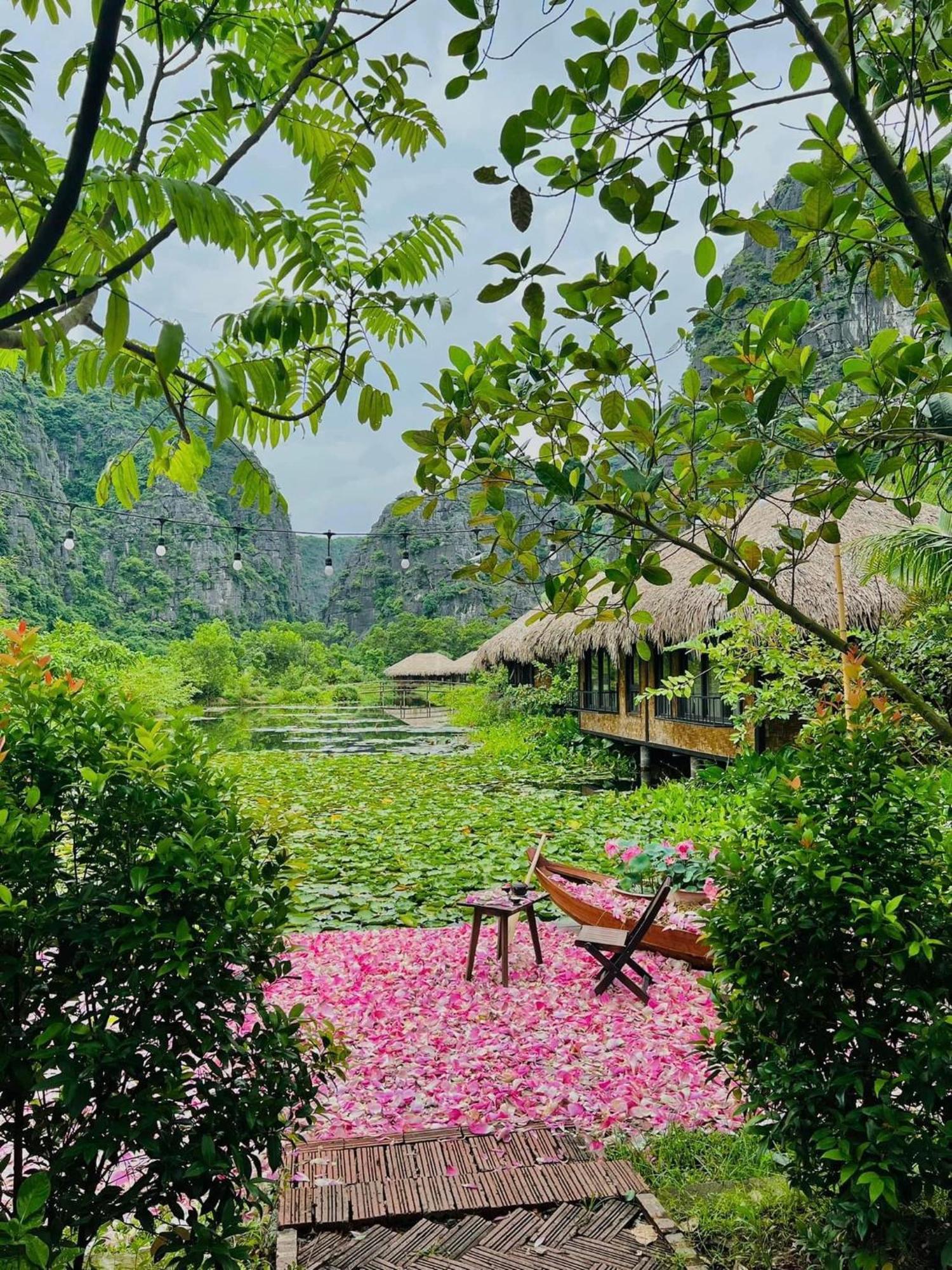 Halise Home And Retreat 닌빈 외부 사진